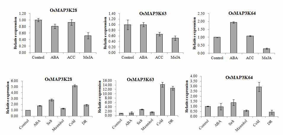 OsMAP3K28, OsMAP3K63, OsMPK64의 스트레스 및 호르몬 유도발현 양상.