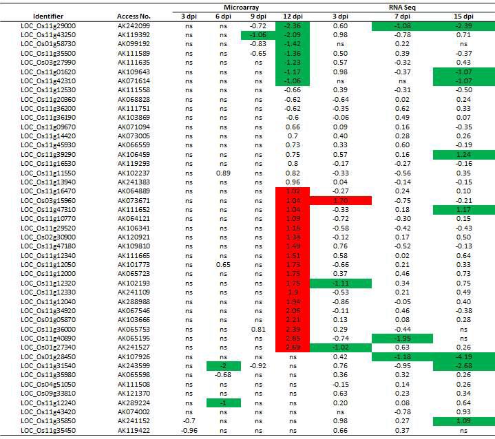 Y2H를 이용하여 상호작용 연구에 사용된 총 45개의 벼 NBS-LRR유전자의 발현 패턴. 기존 microarray의 경우 총 4개의 시간 조건에서 조사하였고, 본 연구팀의 RNA-Seq 의 경우 3개의 서로 다른 시간대에서 샘플을 채취하여 발현 양상을 조사하였음. 붉은색의 경우 RSV 감염시 유전자의 발현이 특이적으로 up-regulation되었으며, 녹색의 경우 반대로 down-regulation되었음을 표시하였음.