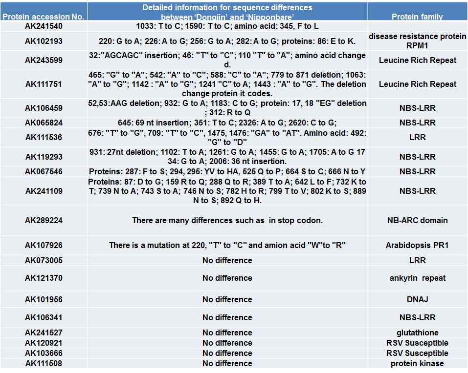 동진에서 클론한 20개 RSV 저항성 후보 유전자들의 염 기서열을 Nipponbare유전자 염기서열과 비교 분석.