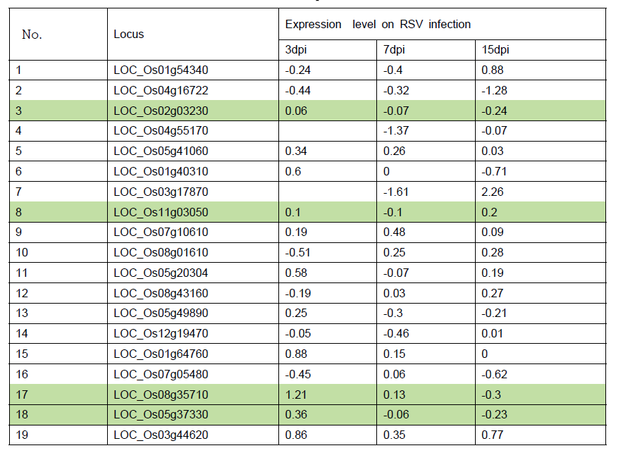 RSV접종시 벼 19개 유전자들의 RNA-Seq데이타를 이용해 발현량 변화 조사.