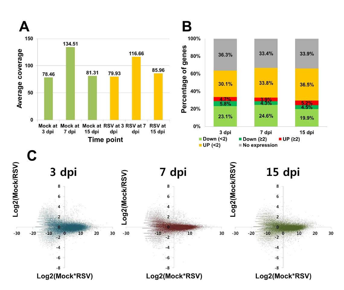 (A) The sequence coverage of obtained RNA-Seq data from each sample. Mock and RSV indicate samples treated with SBPH and SBPH infected by RSV, respectively. (B) The ratio of rice expressed genes by RSV infection. Genes were divided into five groups; no expression, down-regulation with less than two fold changes (down <2), down-regulation with more than two fold changes (down ≥2), up-regulation with less than two fold changes (up <2), up-regulation with more than two fold changes (up ≥2). (C) Distribution of RNA-Seq intensities at each time point displayed by the ratio-intensity plot (R-I plot).