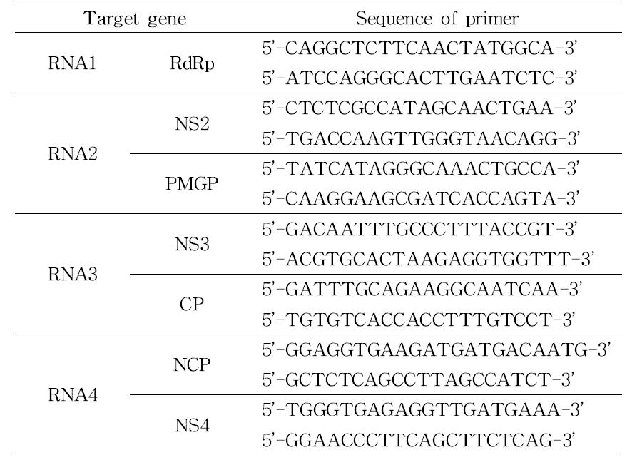 Primers used for quantitative PCR of RSV genes