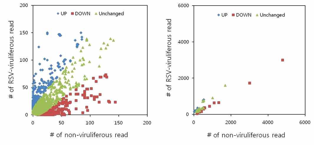 Graph of the numbers of RSV-viruliferous reads and non-viruliferous reads for each isotig. The number of RSV-viruliferous reads and non-viruliferous reads of each isotig were graphed on an x,y plot. For convenience, isotigs were plotted on two separate graphs: for isotigs shown in the left panel, the number of RSV-viruliferous reads or non-viruliferous reads is smaller than 200; for isotigs shown in the right panel, the number of RSV-viruliferous reads or non-viruliferous reads is equal to or larger than 200.