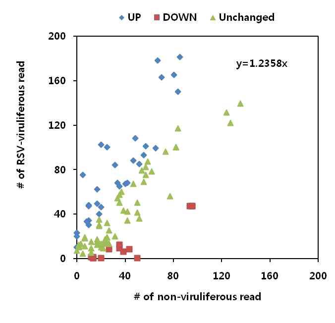 Graph of the number of reads from isotigs encoding ribosomal proteins.