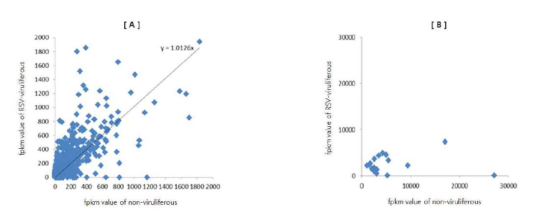 Graph of the fpkm value of RSV-viruliferous and non-viruliferous for each transcriptome. Contigs were plotted on two separate graphs: for fpkm value shown in the left panel, the fpkm value of RSV-viruliferous or non-viruliferous is smaller than 2000; for fpkm value shown in the right panel, the fpkm value of RSV-viruliferous or non-viruliferous is equal to or larger than 2000.