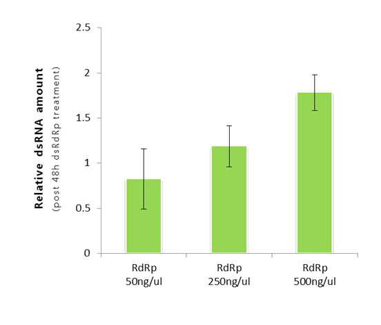 Expression profiles of RSV genes in viruliferous L. striatellus obtained by qPCR.