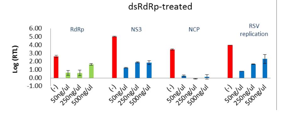 Transcription and replication of RSV in L. striatellus treated with dsRNA of RdRp gene.