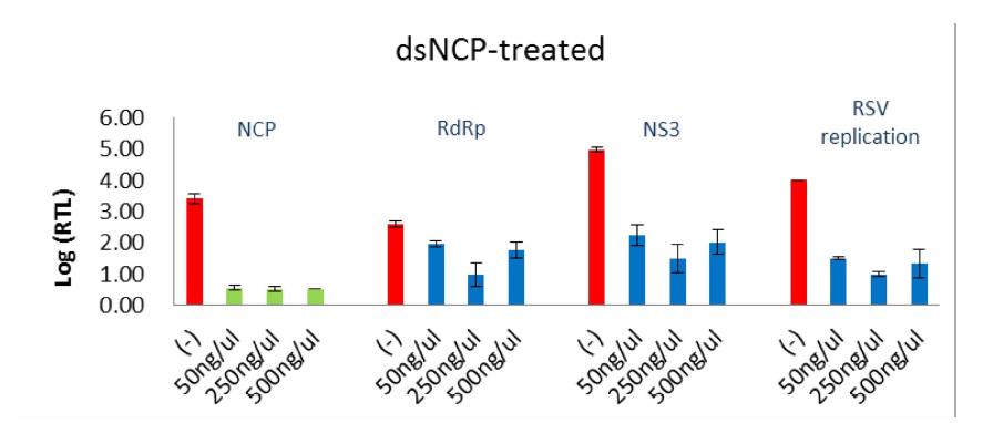 Transcription and replication of RSV in L. striatellus treated with dsRNA of NCP gene.