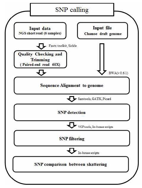 SNP calling 모식도