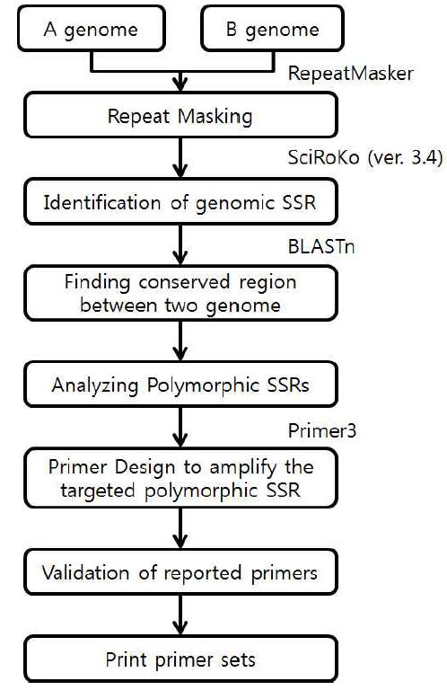 in silico method for identification of polymorphic SSRs