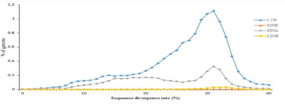 Distribution of divergence rate for each of TEs in the Gotgamchamoe genome