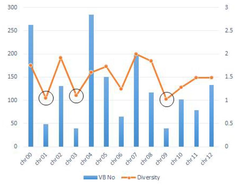 염색체별 VB의 분포 (분석대상 자원에서 1,651개의 VB가 확인됨)