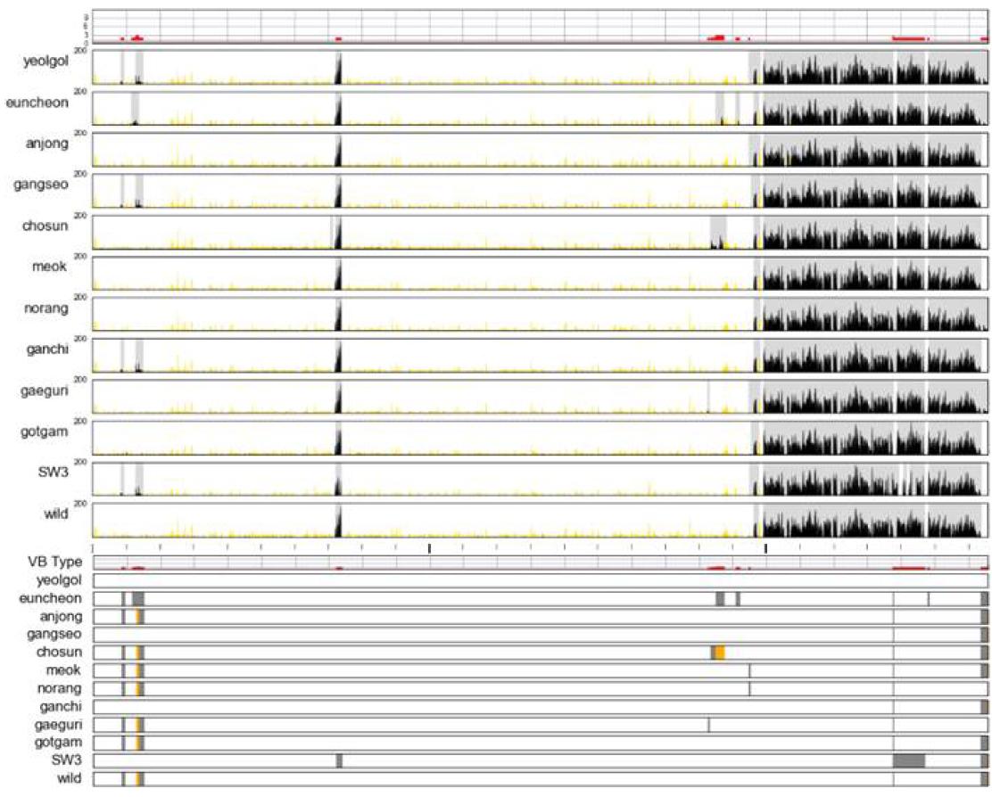 3번 염색체의 VB 분포 현황