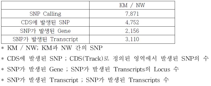 DB에 사용된 참외(KM, NW)의 SNP 통계치