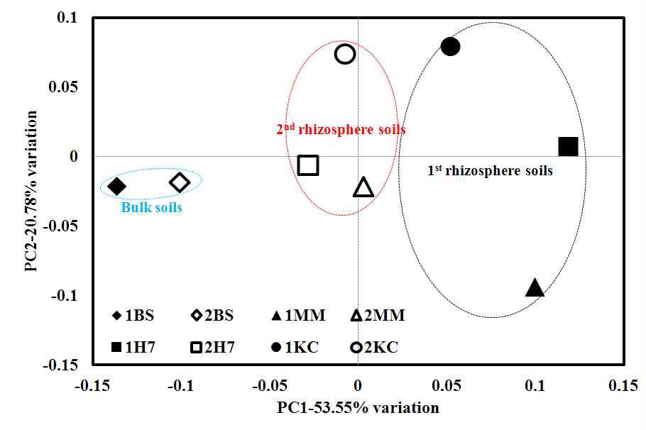 작물 근권 미생물 군집 구조를 나타내는 PCoA 분석의 결과