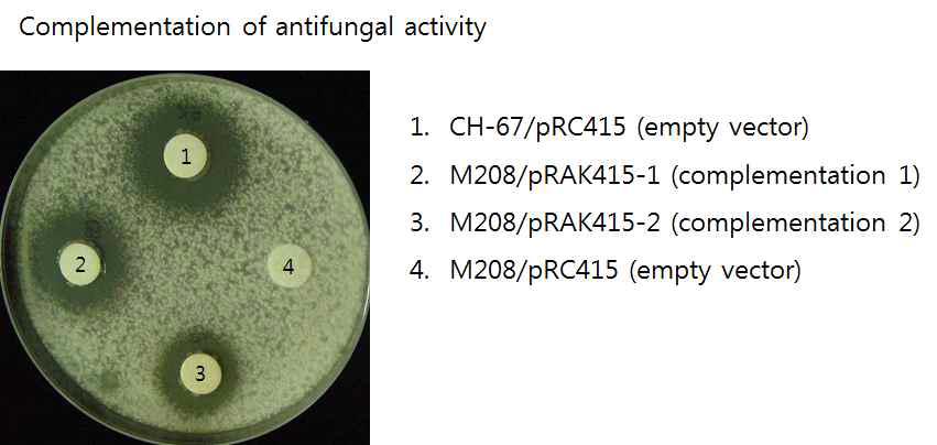 M208 변이체 표현형 complementation