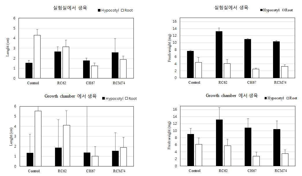 생육상과 실험실에서 토마토 유묘의 하배축과 뿌리의 길이 및 생중량에 미치는 Flavobacterium 균주들의 효과