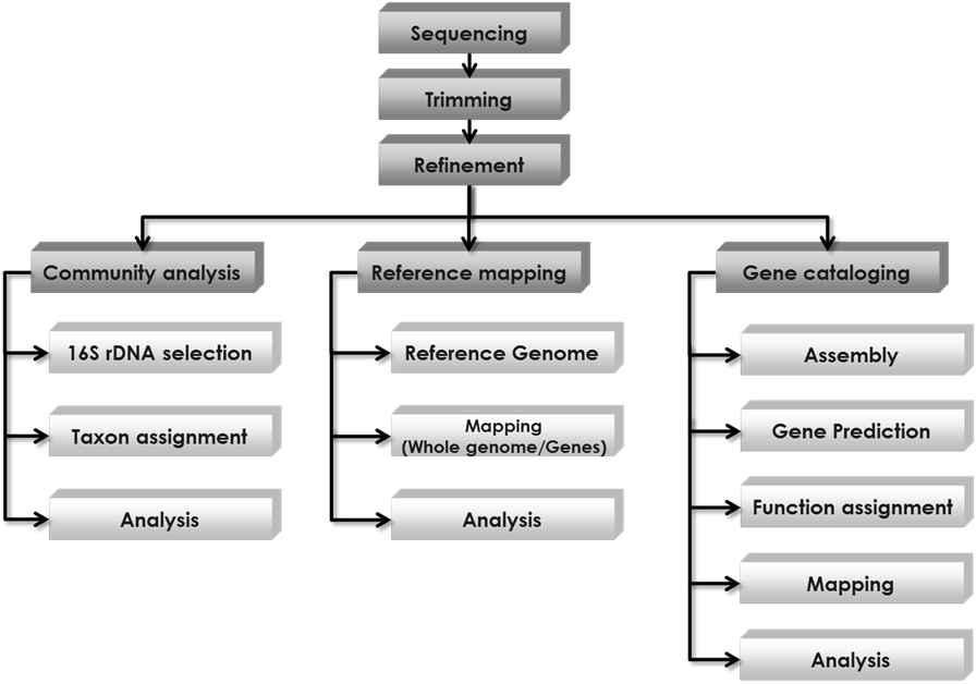 전 메타게놈(whole metagenome) 분석 파이프라인