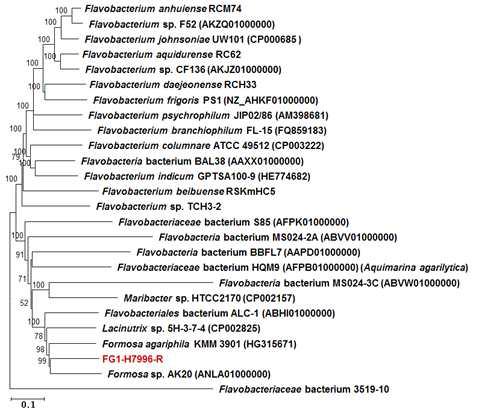 Phylogenetic tree of reassembled genome