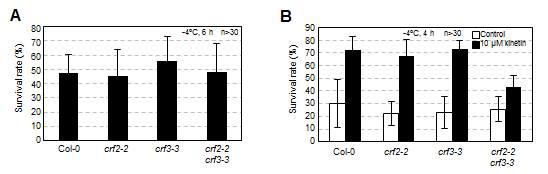 Freezing tolerance assays of crf2, crf3, and crf2 crf3 mutants compared withthe wild-type plants.