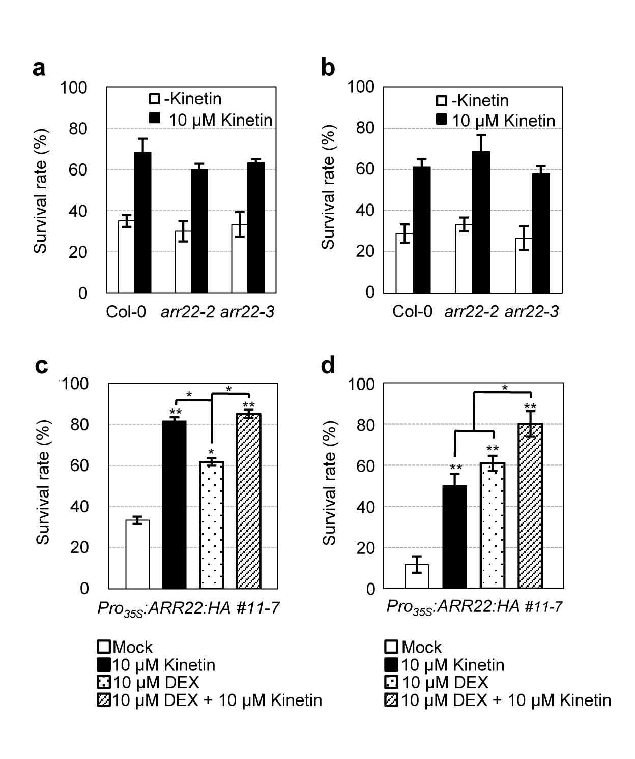 Effect of cytokinin preincubation on drought and freezing tolerance of arr22, Pro35S:ARR22:HA and the wild-type plants.