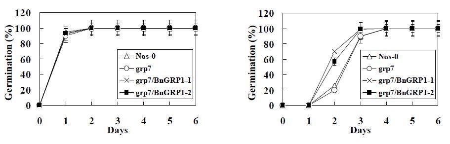 BnGRP1 유전자가 발현된 형질전환체의 정상조건(좌)과 저온(우)에서의 종자발아