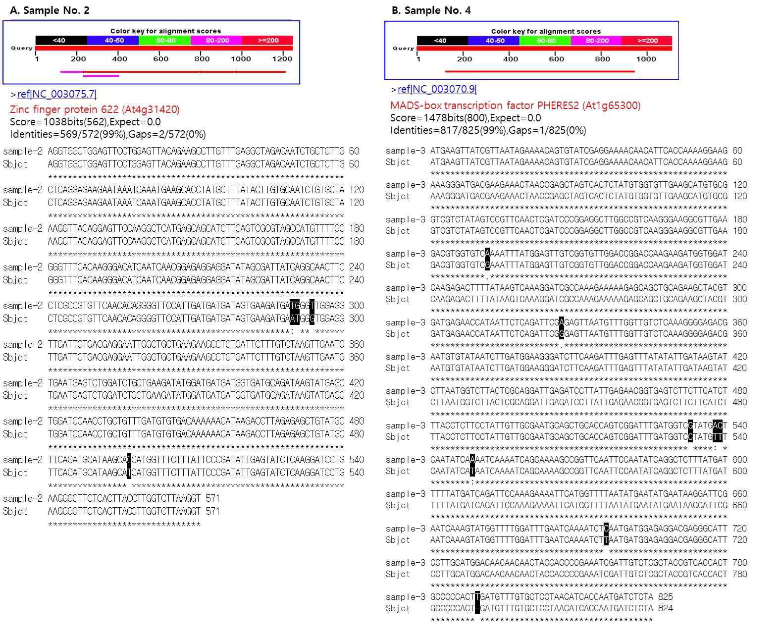 Sequencing을 통하여 규명된 KCS2 유전자 프로모터에 대한 interactor 유전자 정보.