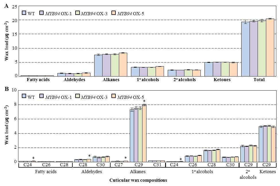 야생형 및 MYB94 OX 과다발현 식물체 줄기에서 cuticular wax 성분 및 함량 분석