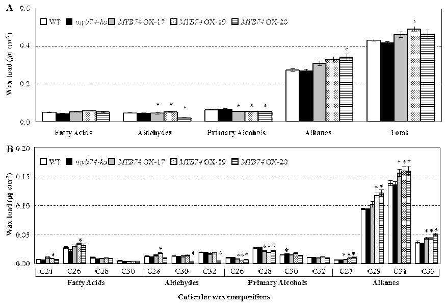 야생형, myb74-ko 돌연변이체 및 MYB74가 과다발현되고 있는 형질전환체 잎에서 cuticular wax 성분 및 함량 분석