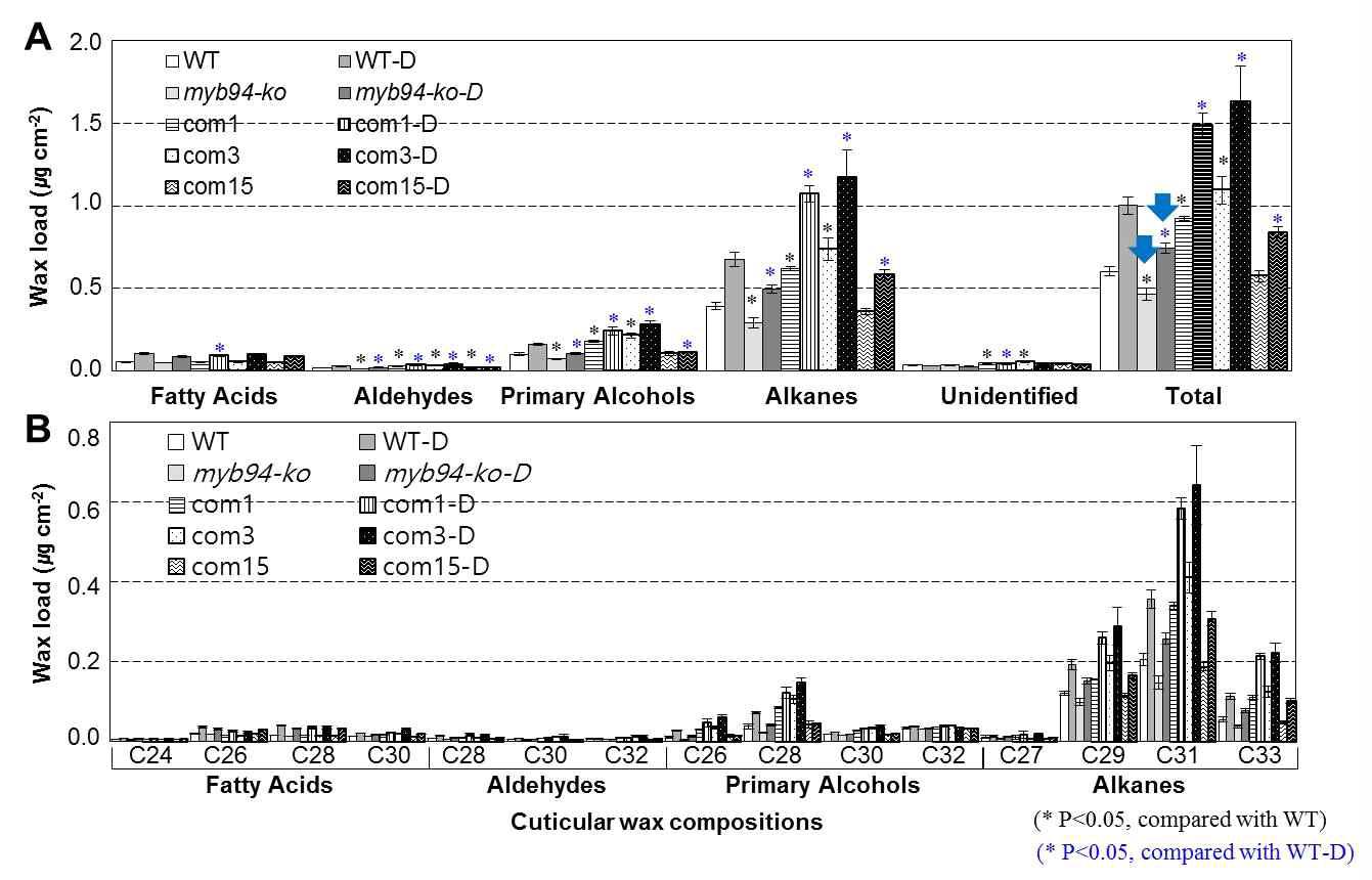 야생형, myb94-ko 돌연변이 식물체 및 complementation 식물체를 이용한 정상 조건 및 가뭄 스트레스 조건하에서 cuticular wax 성분 및 함량 조사
