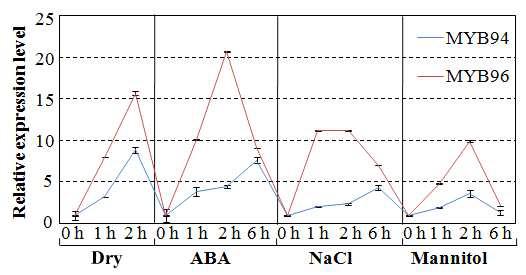 ABA, 가뭄 및 osmotic 스트레스 처리하에서 MYB94와 MYB96 유전자의 발현 양상 분석