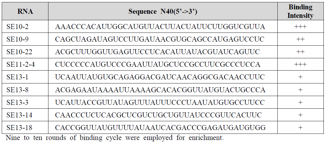RNA substrates bound to APUM24