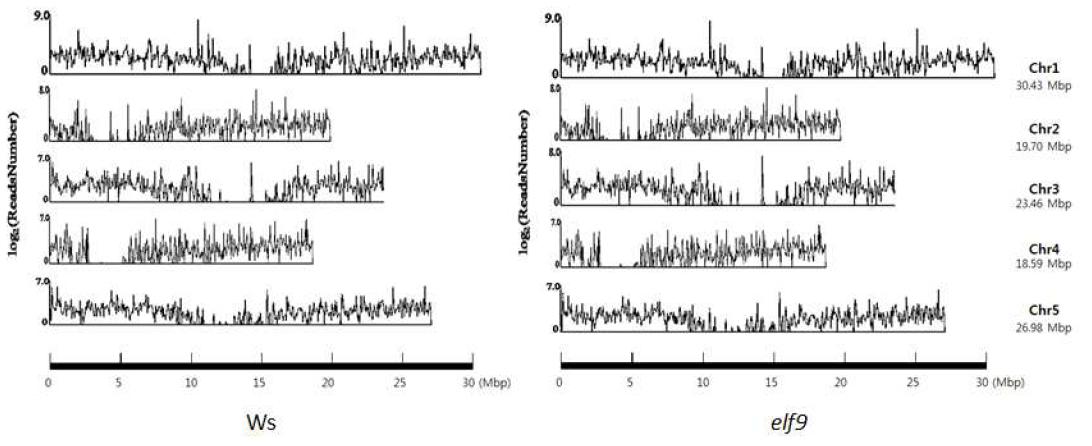 Genomic distribution of read sequences from transcriptome-seq of Ws (left) orelf9 (right).