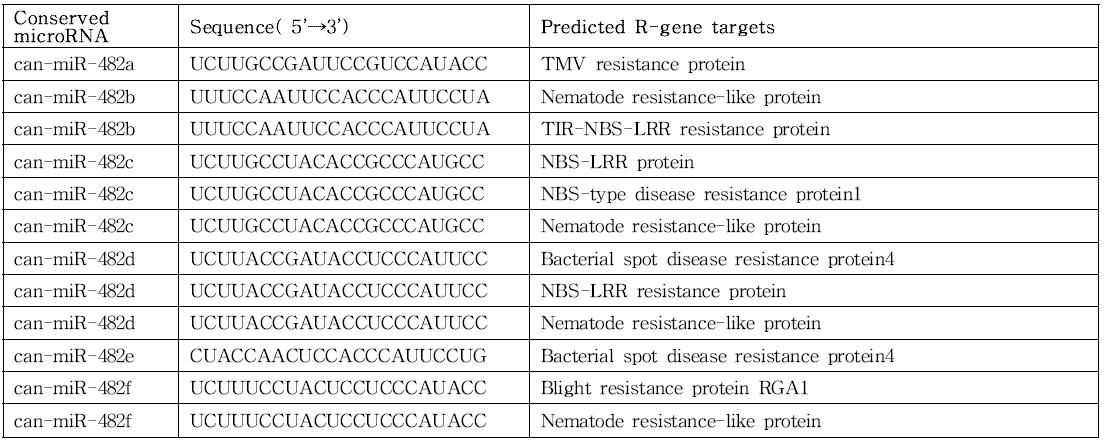 고추 miR-482 family가 조절할 것으로 예측되는 병 저항성 관련 유전자
