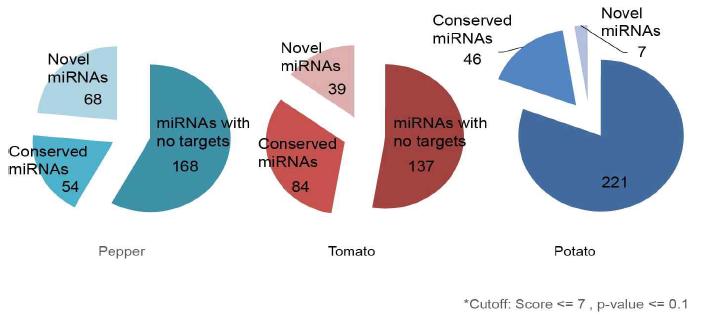 가지과 내의 microRNA 타겟팅 통계 분석