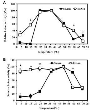 SoAsn 활성에 미치는 온도의 영향 (A) 30분 처리 (B) 10분 처리