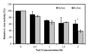 NaCl 농도에 따른 SoAsn 활성 변화