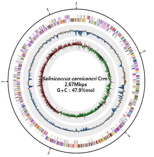 Salinicoccus carnicancri CrmT의 genome 부분 지도