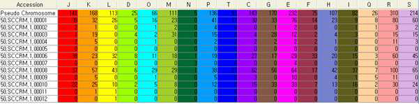 Salinicoccus carnicancri CrmT의 COG distribution