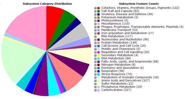 Salinicoccus carnicancri Crm 의 annotation analysis