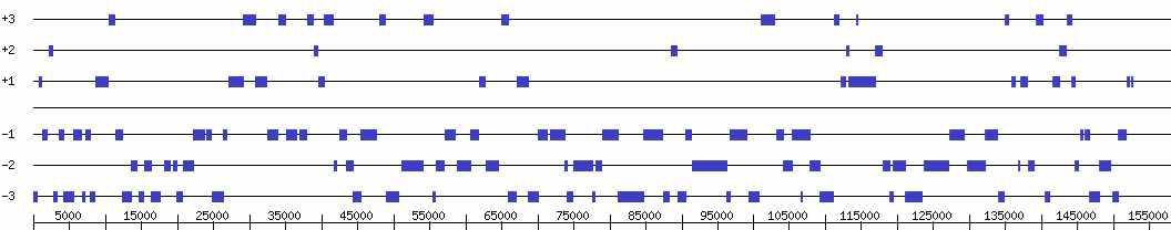 Carnobacterium jeotgali MS3의 maximum contig에서의 CDS 위치 예측