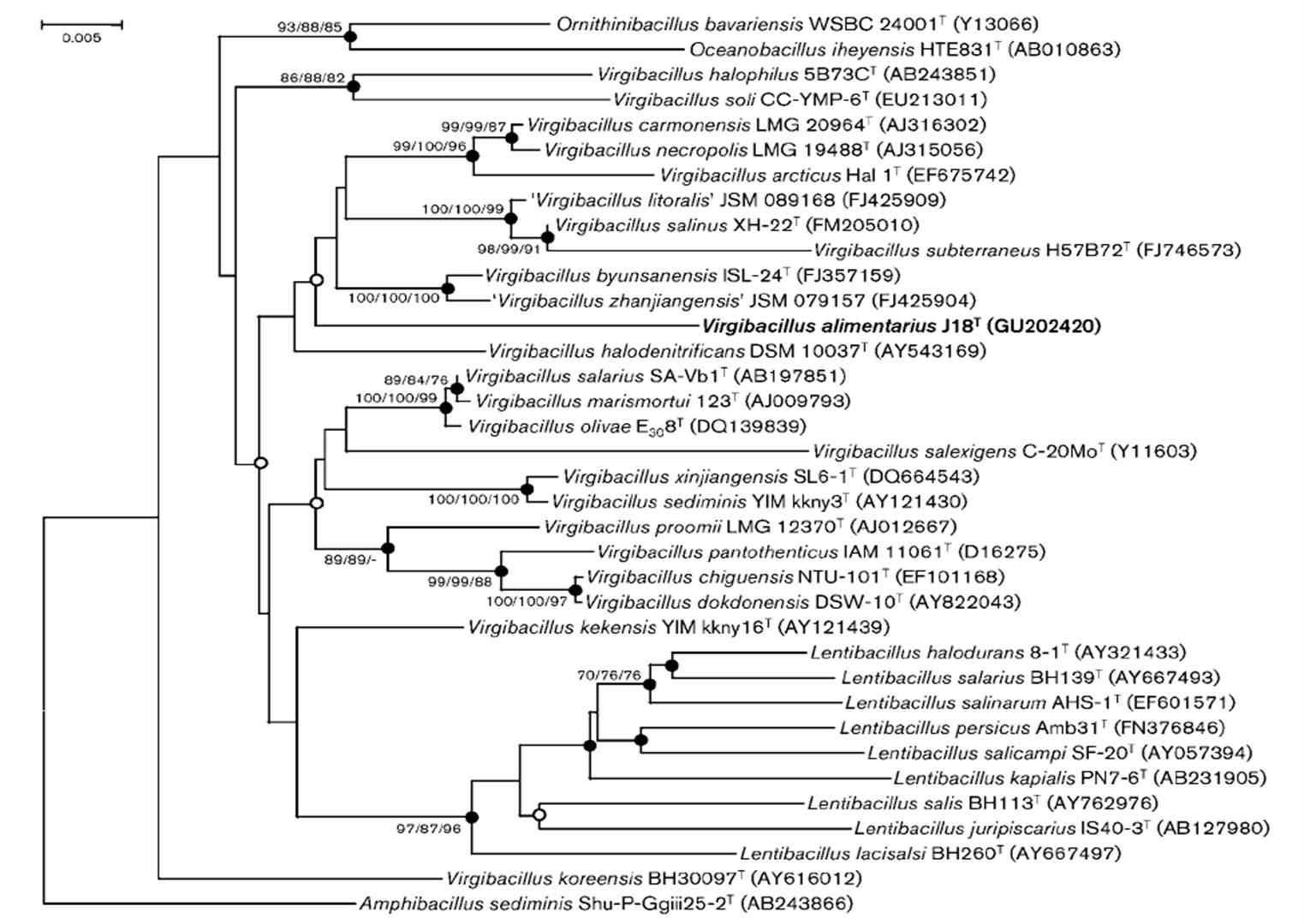 Virgibacillus alimentarius J18T의 phylogenetic tree