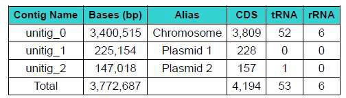 Haloplanus sp. CBA1112T의 CDS 예측