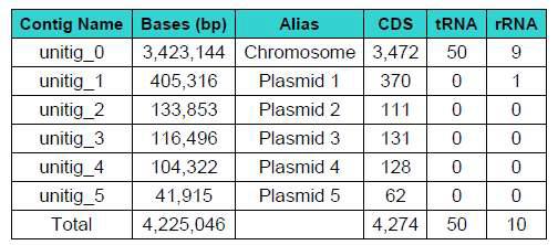 Haloarcula sp. CBA1115 의 CDS 예측