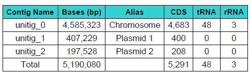 Halomicrobium sp. CBA1120 의 CDS 예측