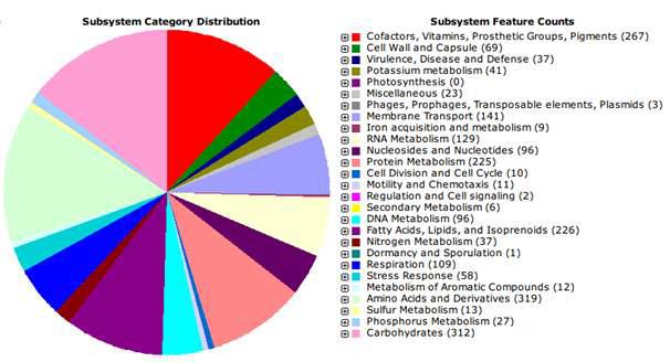 Halomicrobium sp. CBA1120T의 CDS 예측