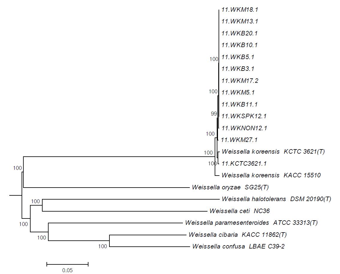 Weissella 의 core genome tree.