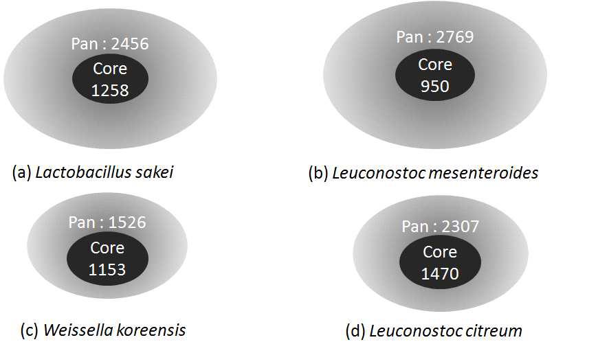 4개의 species에서 core/pan genome의 개수