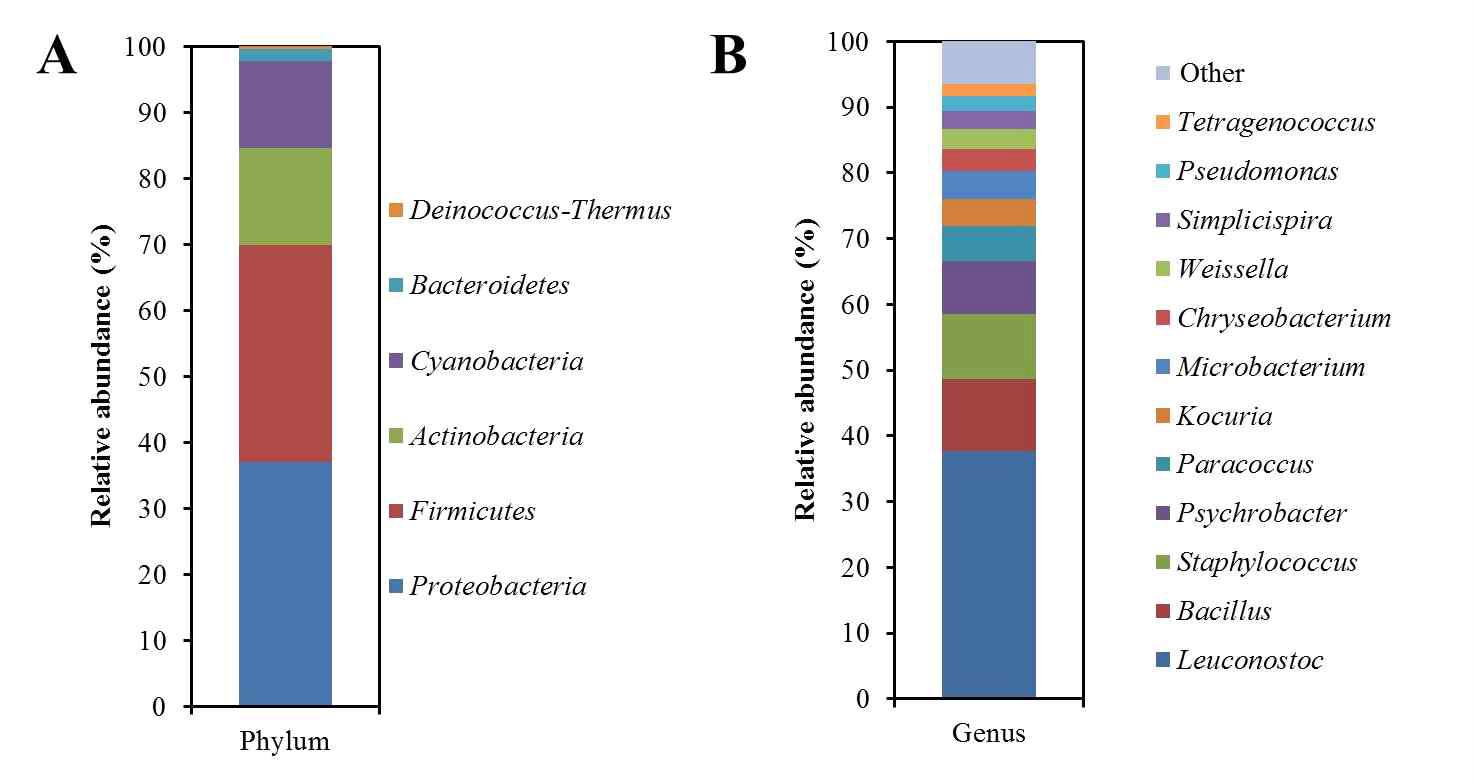 Pyrosequencing을 이용한 오징어젓갈 군집 분석 결과 (A) Phylum (B) Genus