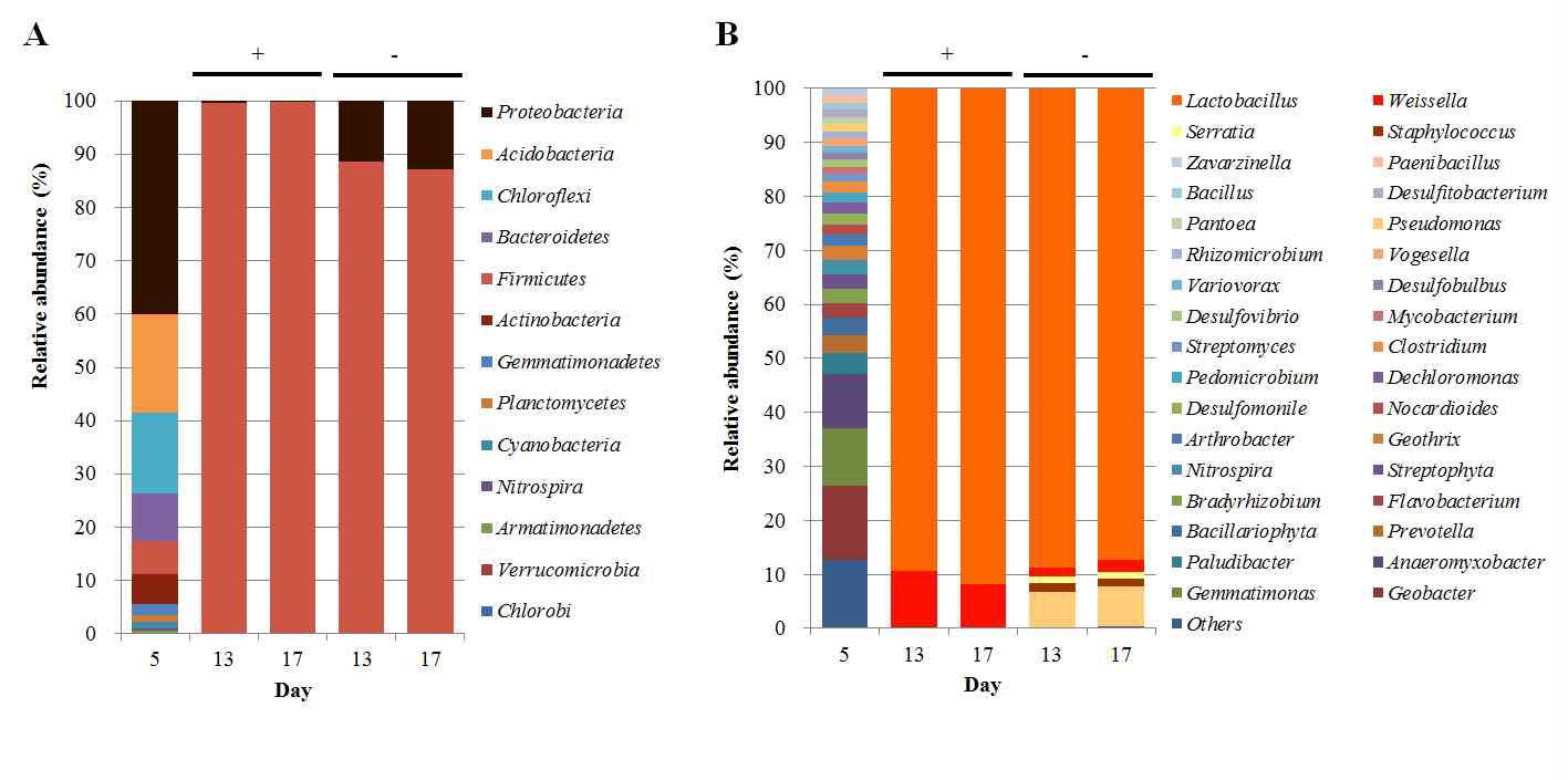 Pyrosequencing을 이용한 가자미 식해의 군집 분석 결과 (A) Phylum (B) Genus. 무 첨가 시료는 +, 첨가하지 않은 시료는 –로 표기함.